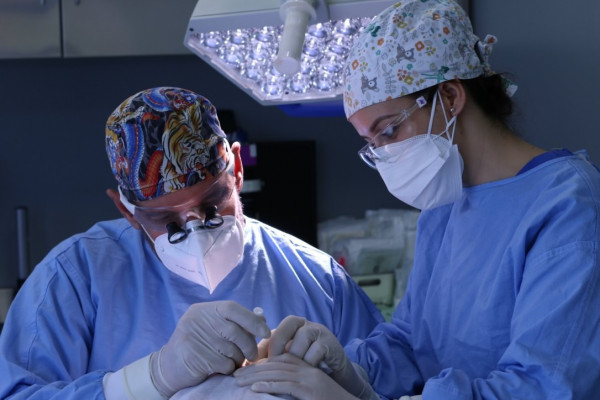 Dr. Juan Couto Injerto capilar Madrid Spanien